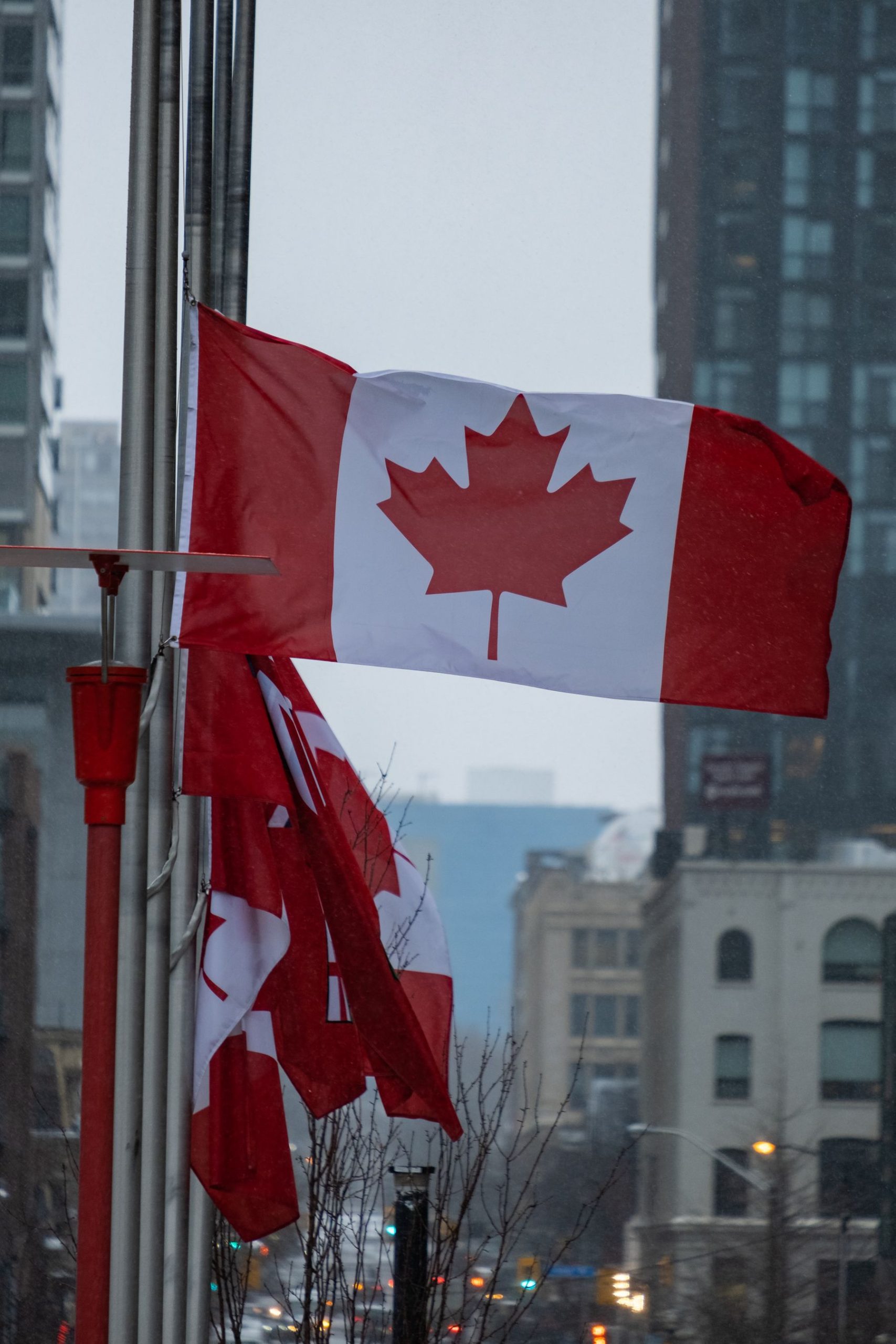 Drapeaux du Canada flottant devant des immeubles modernes en centre-ville